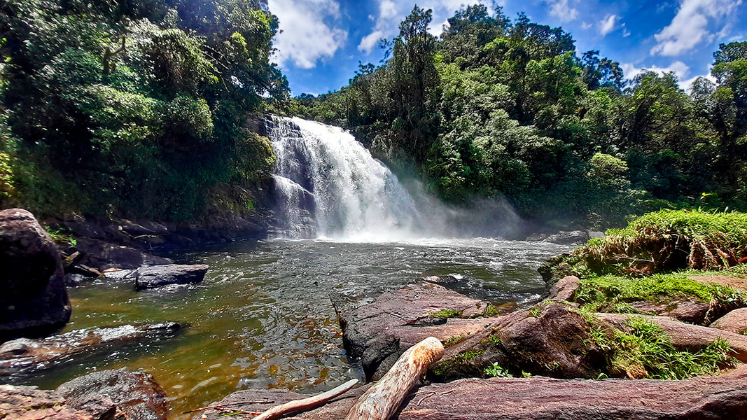 Bracuí  Waterfall