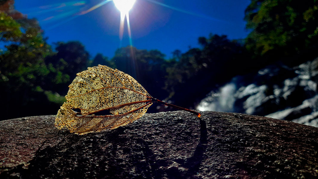 Jacu Pintado Waterfall